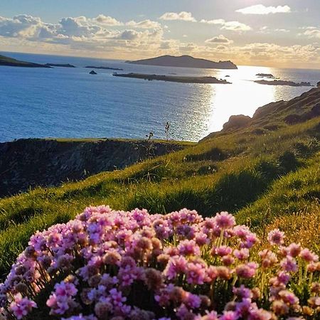 The Plough B&B Ventry Extérieur photo