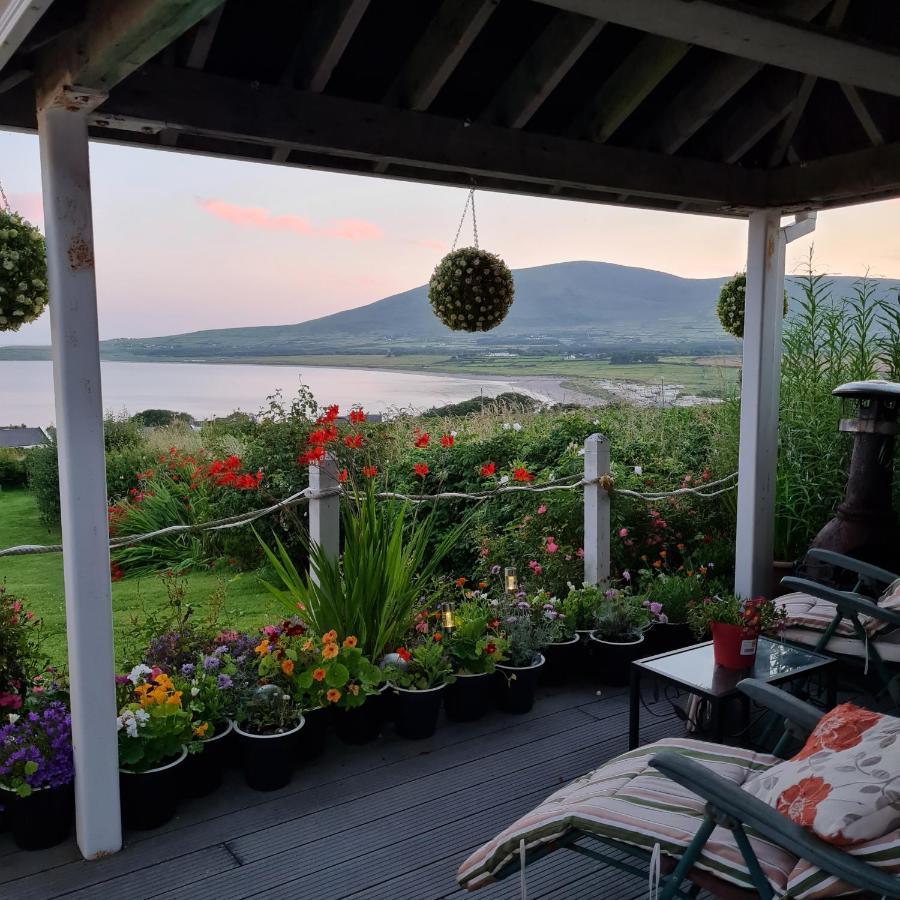 The Plough B&B Ventry Extérieur photo