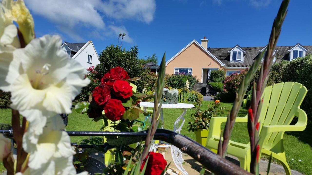The Plough B&B Ventry Extérieur photo