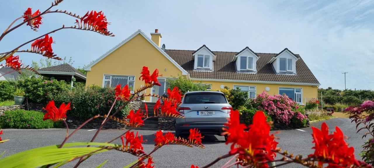 The Plough B&B Ventry Extérieur photo
