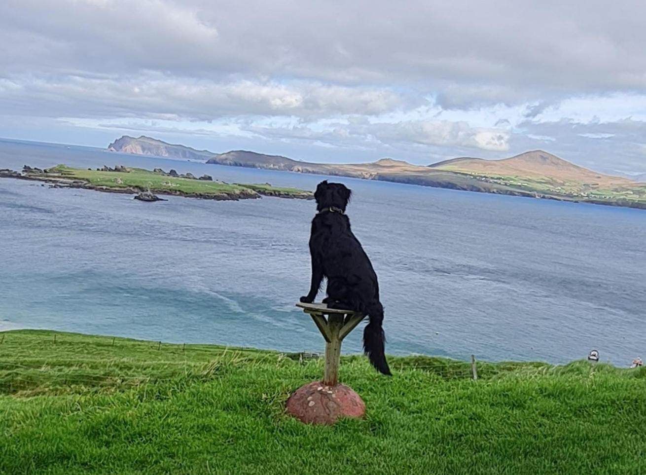 The Plough B&B Ventry Extérieur photo