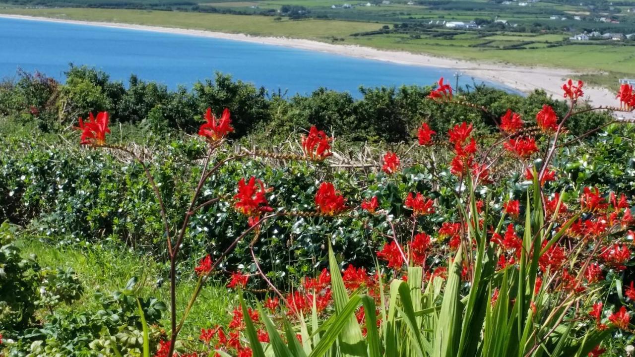 The Plough B&B Ventry Extérieur photo
